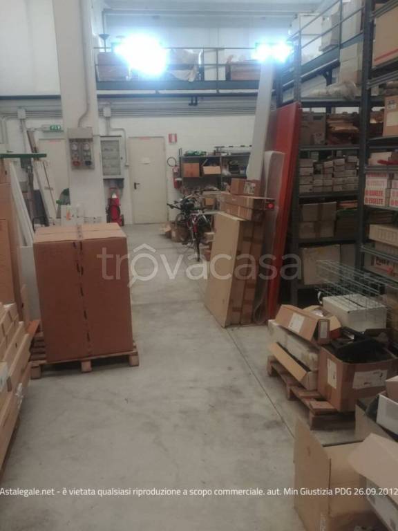 immagine annuncio 7 di 15