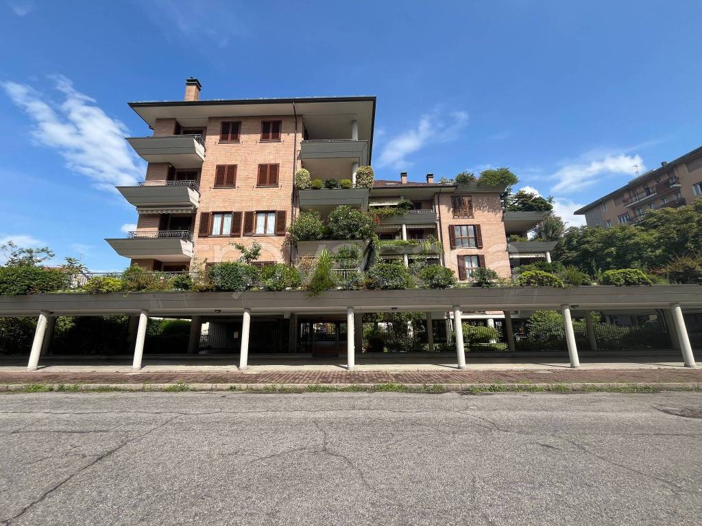 immagine annuncio 1 di 15