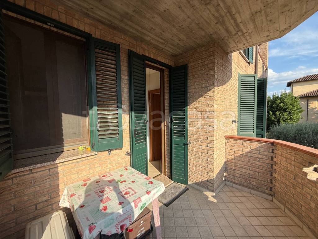 immagine annuncio 2 di 14