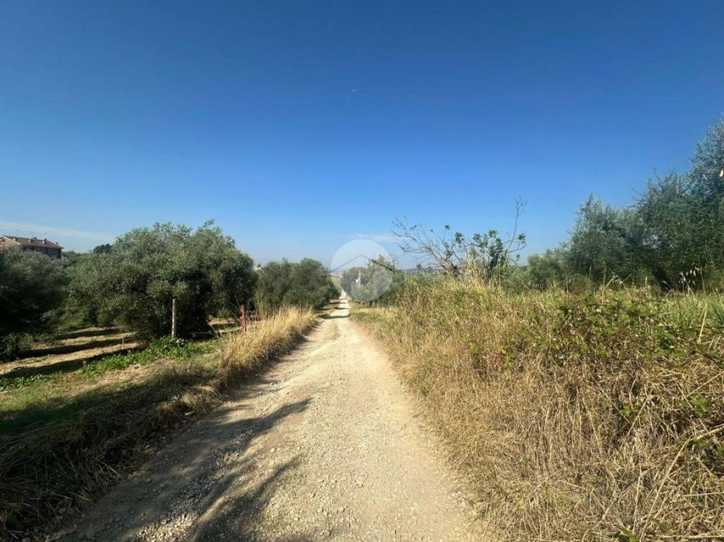 immagine annuncio 10 di 13