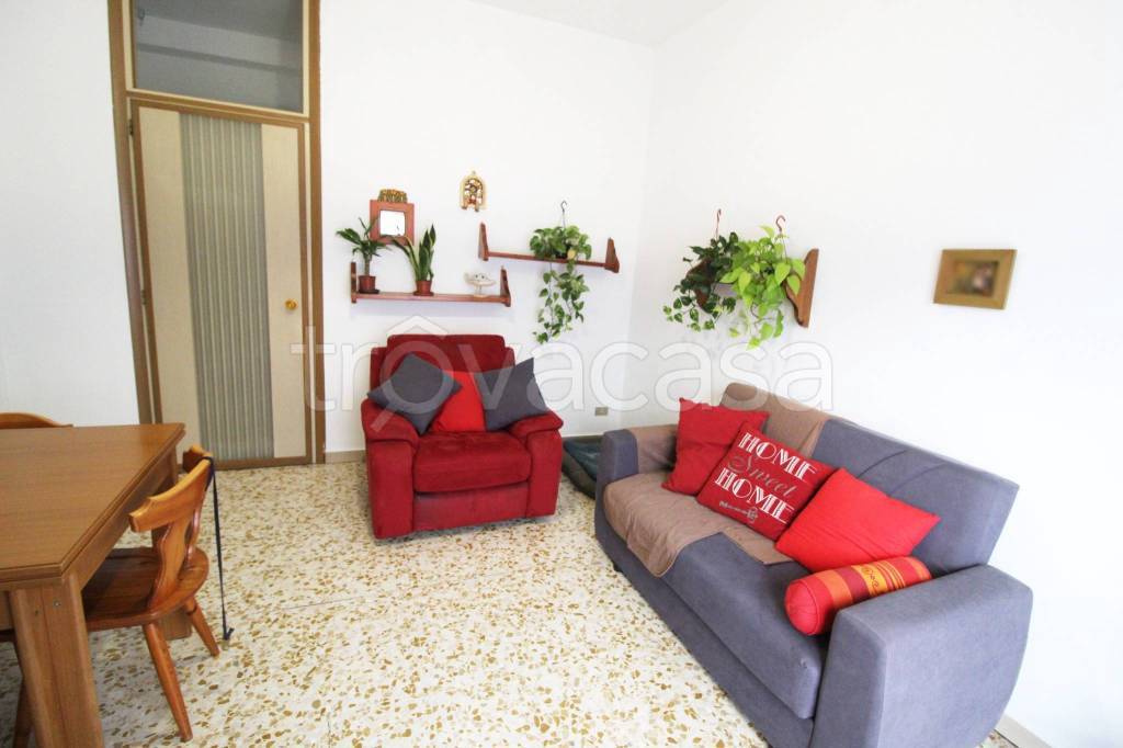 immagine annuncio 10 di 12