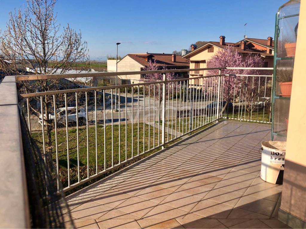 immagine annuncio 6 di 15
