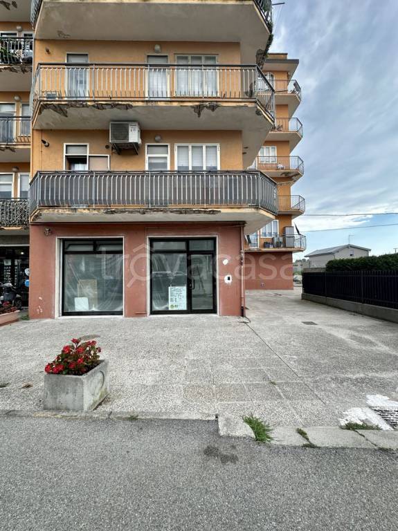 immagine annuncio 1 di 6