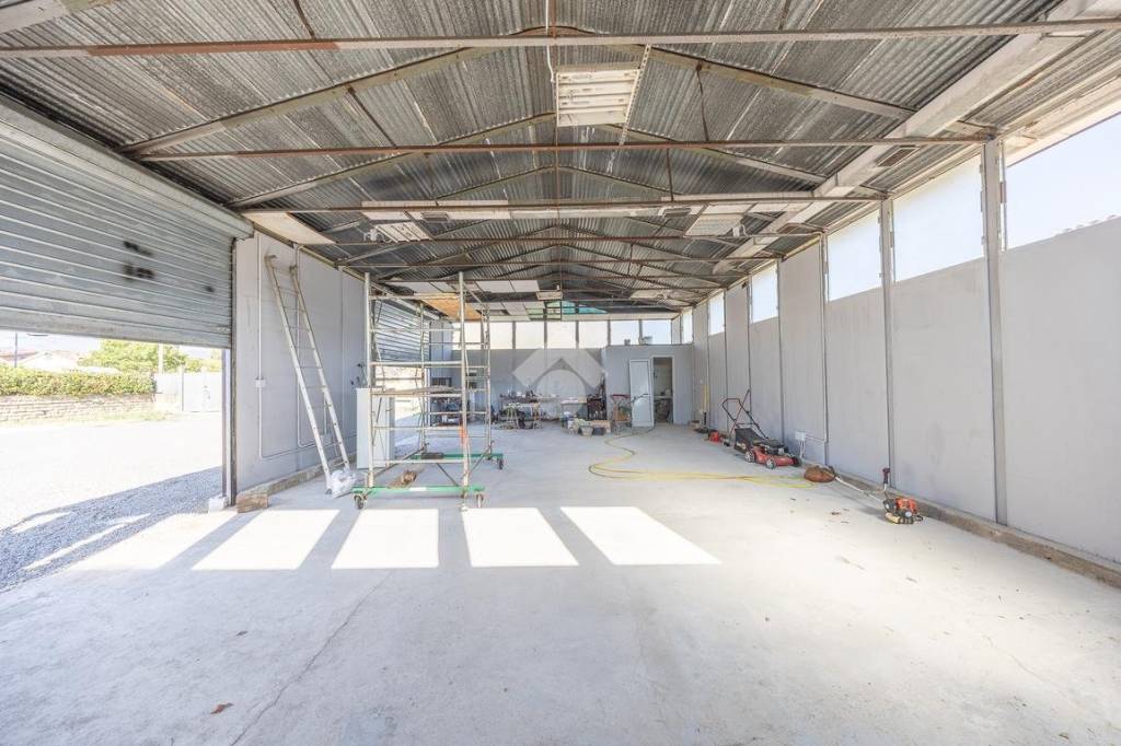 immagine annuncio 8 di 15