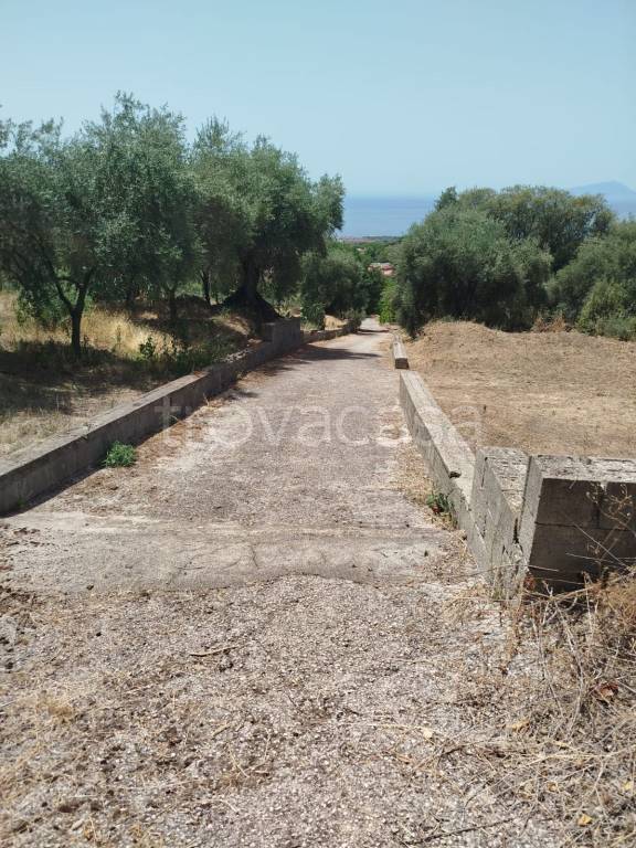 immagine annuncio 1 di 3