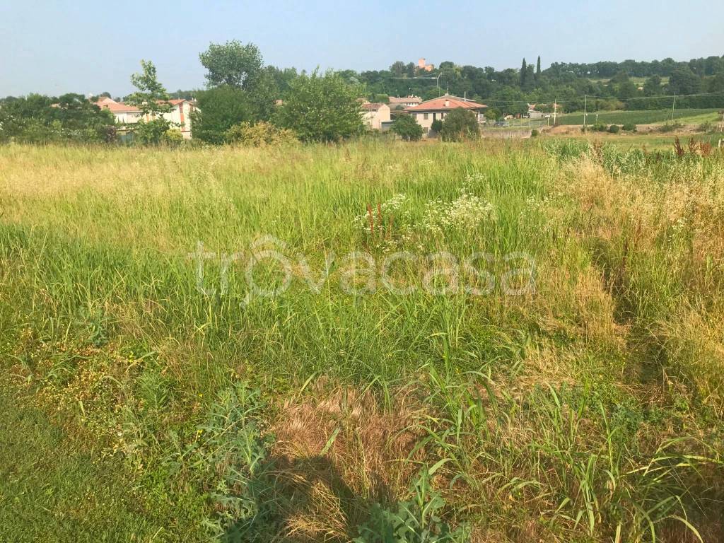 immagine annuncio 3 di 12