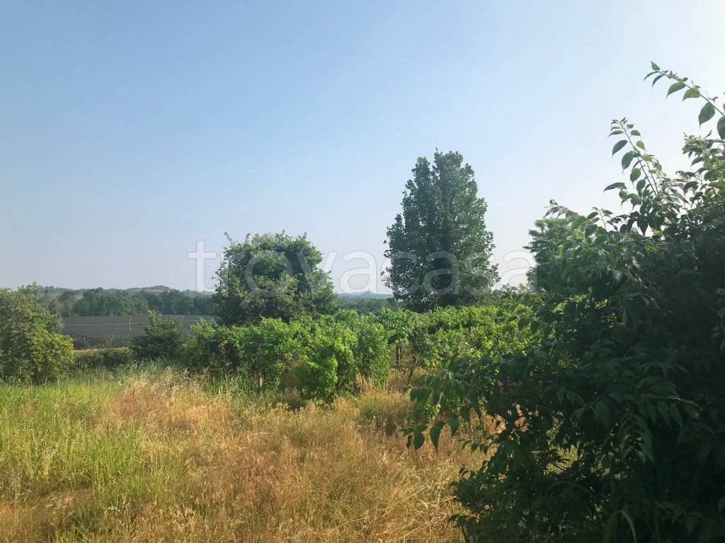 immagine annuncio 8 di 12