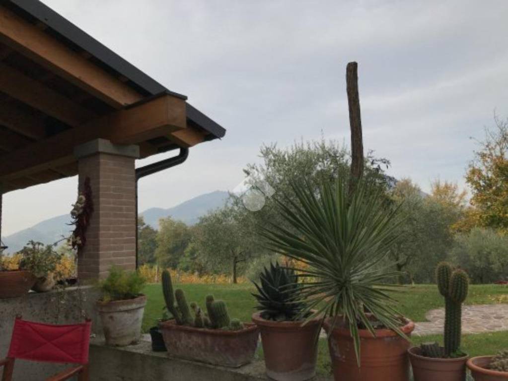 immagine annuncio 9 di 12