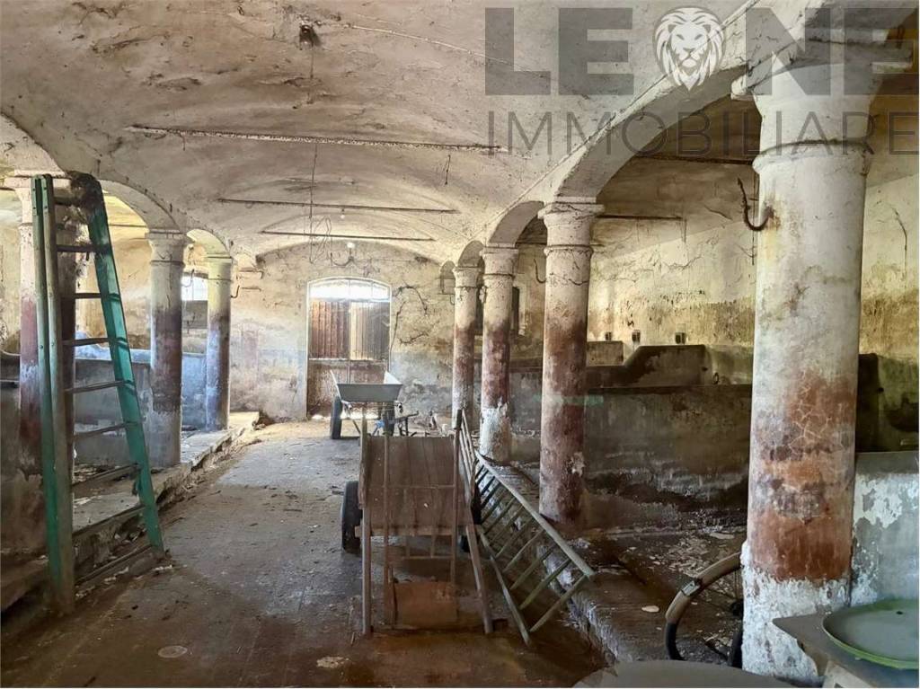 immagine annuncio 4 di 6