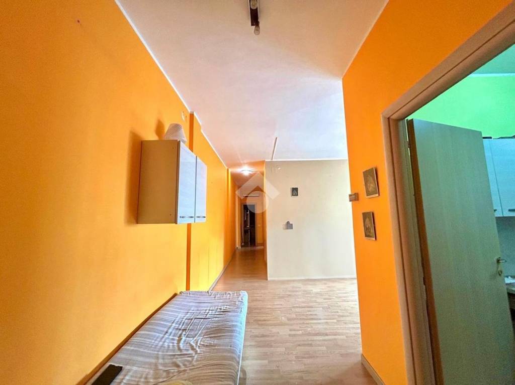 immagine annuncio 3 di 14