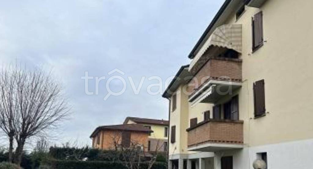 immagine annuncio 6 di 11