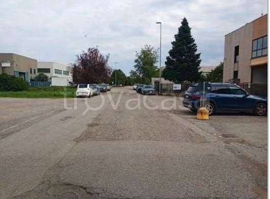 immagine annuncio 1 di 12