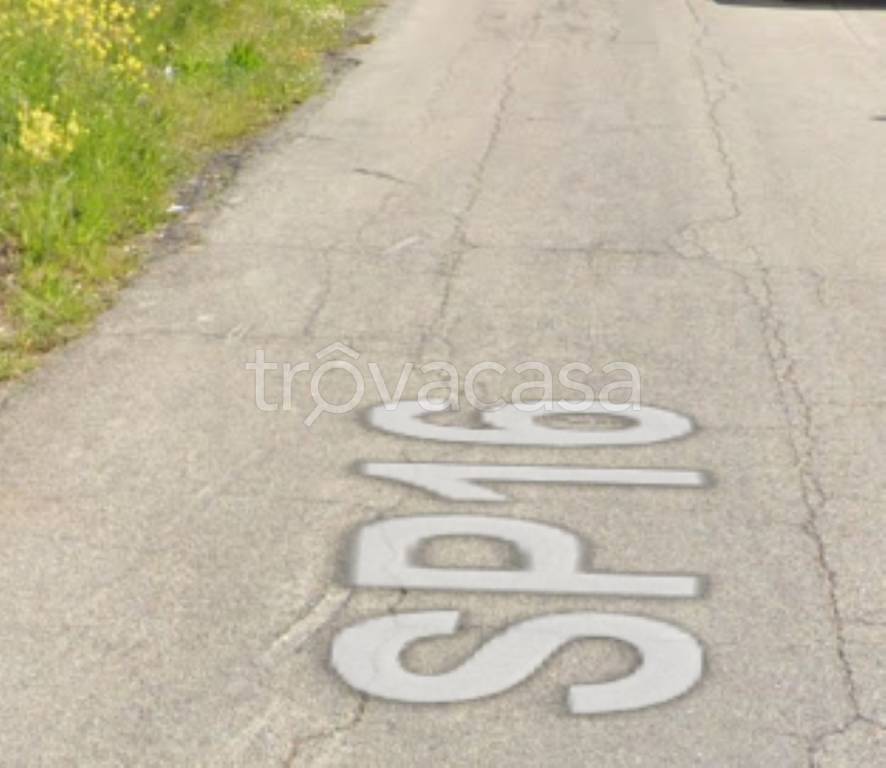 immagine annuncio 3 di 11