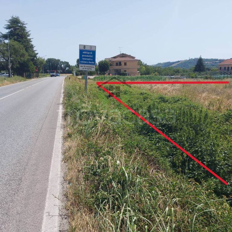 immagine annuncio 4 di 9