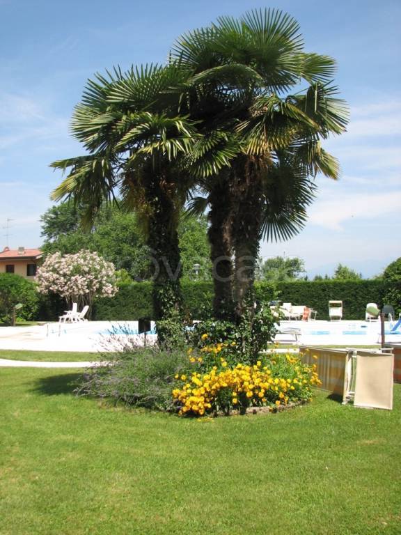 immagine annuncio 12 di 14