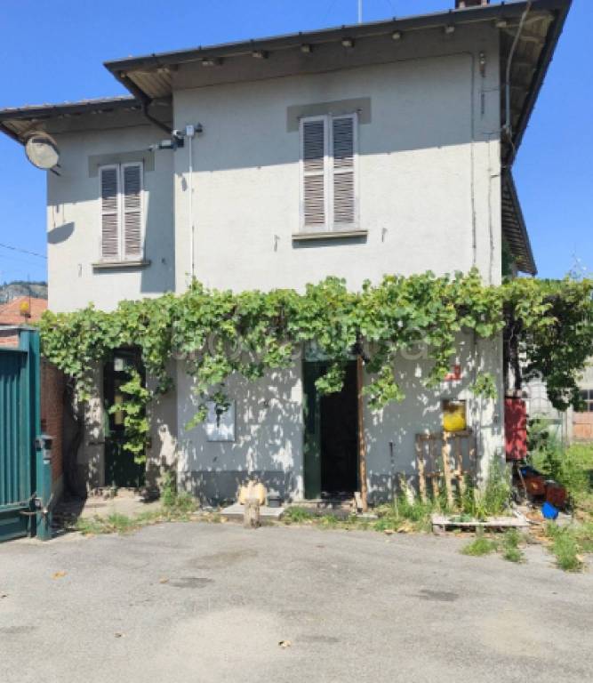 immagine annuncio 7 di 11