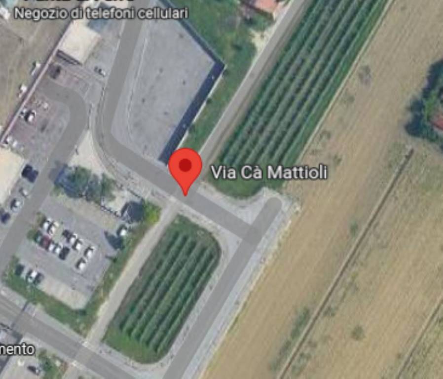 immagine annuncio 6 di 11