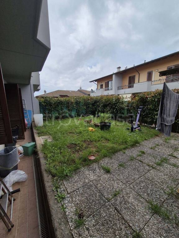 immagine annuncio 2 di 11