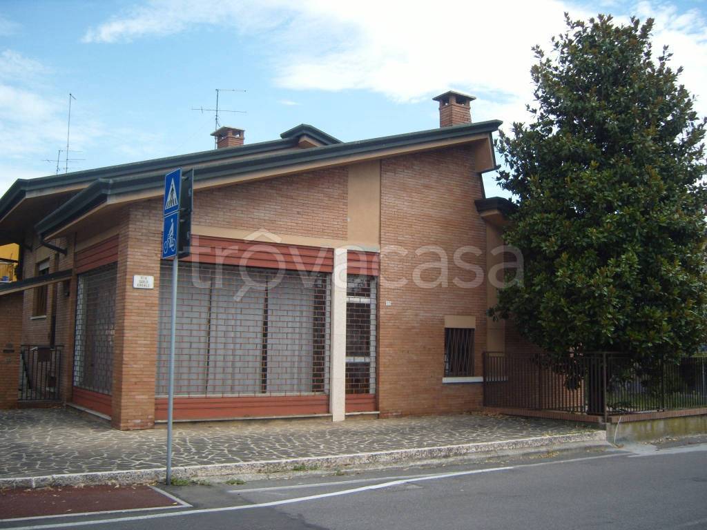 immagine annuncio 4 di 7