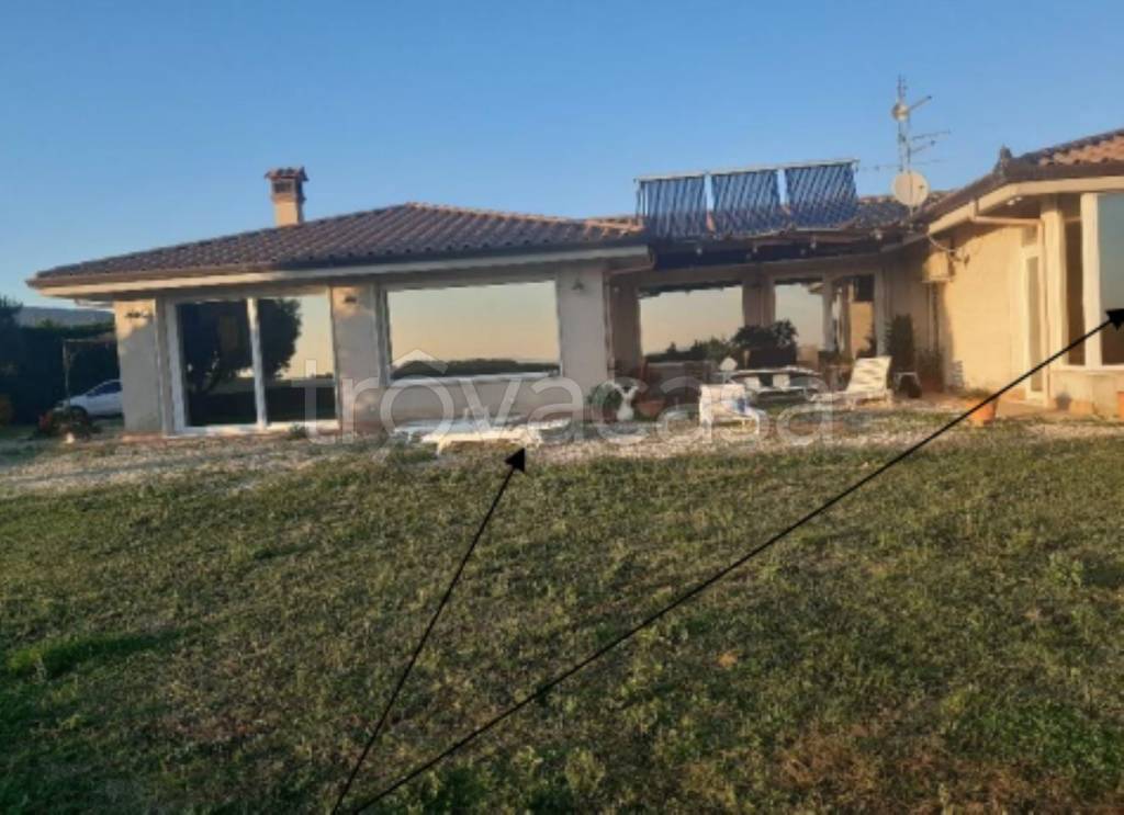 immagine annuncio 4 di 12