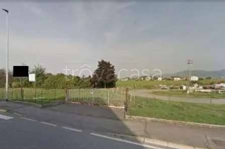 immagine annuncio 2 di 12