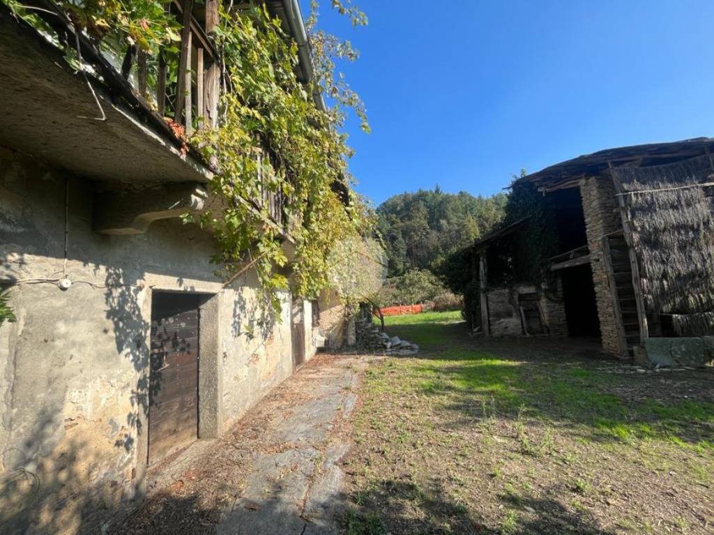 immagine annuncio 5 di 11