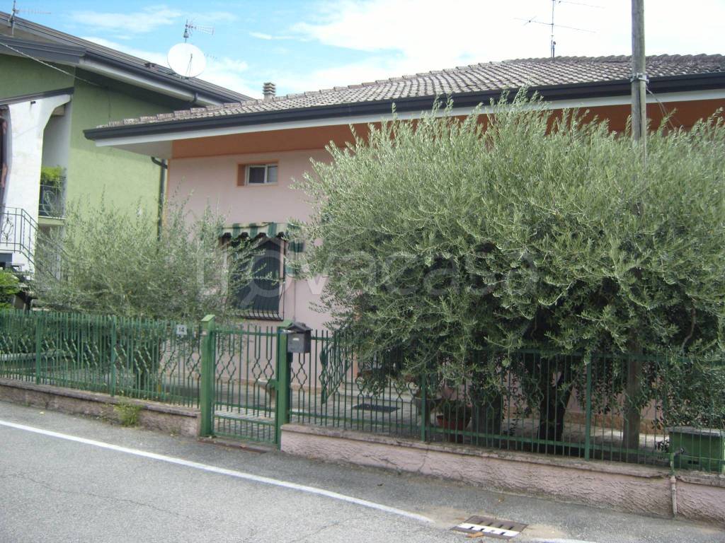 immagine annuncio 1 di 10