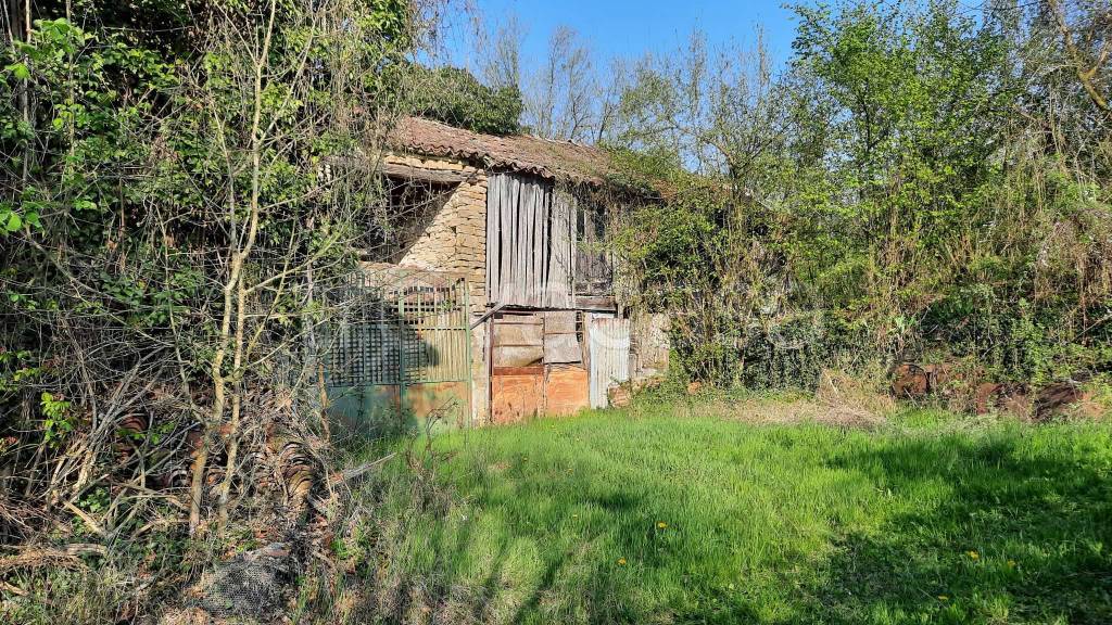 immagine annuncio 4 di 8