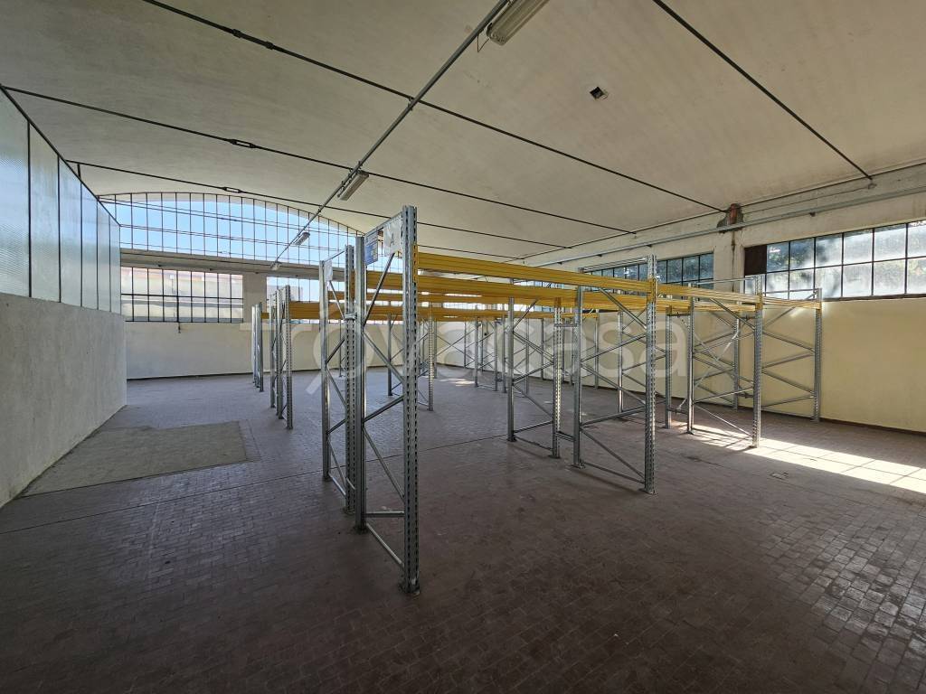 immagine annuncio 9 di 12