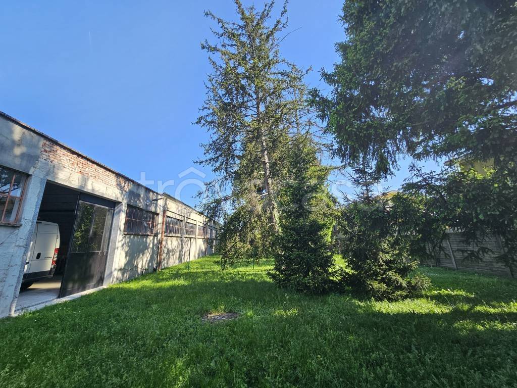 immagine annuncio 2 di 12