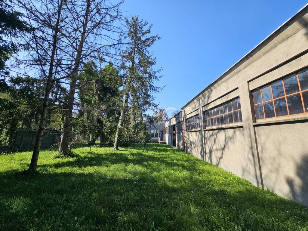 immagine annuncio 3 di 12