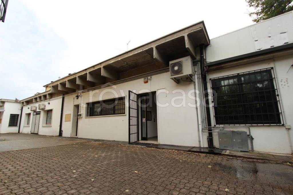 immagine annuncio 10 di 12