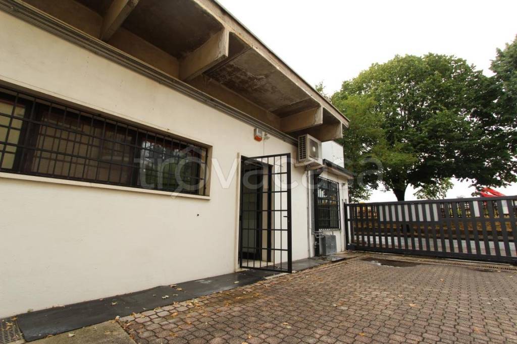 immagine annuncio 11 di 12