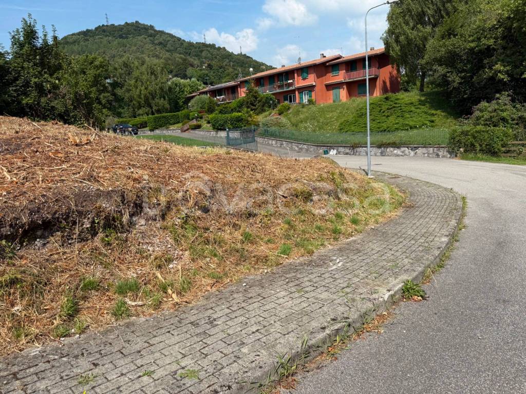 immagine annuncio 5 di 8