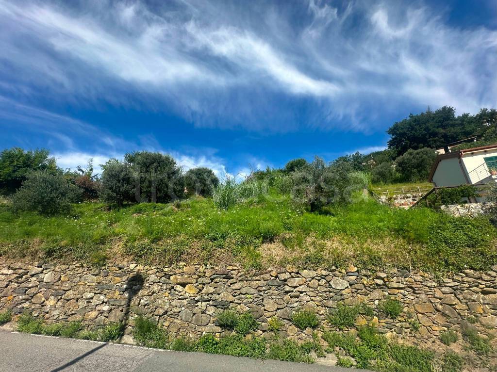 immagine annuncio 3 di 7