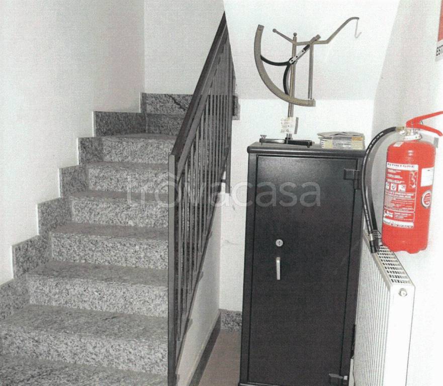 immagine annuncio 1 di 12