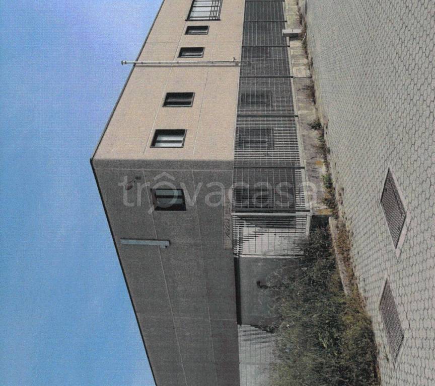 immagine annuncio 8 di 12
