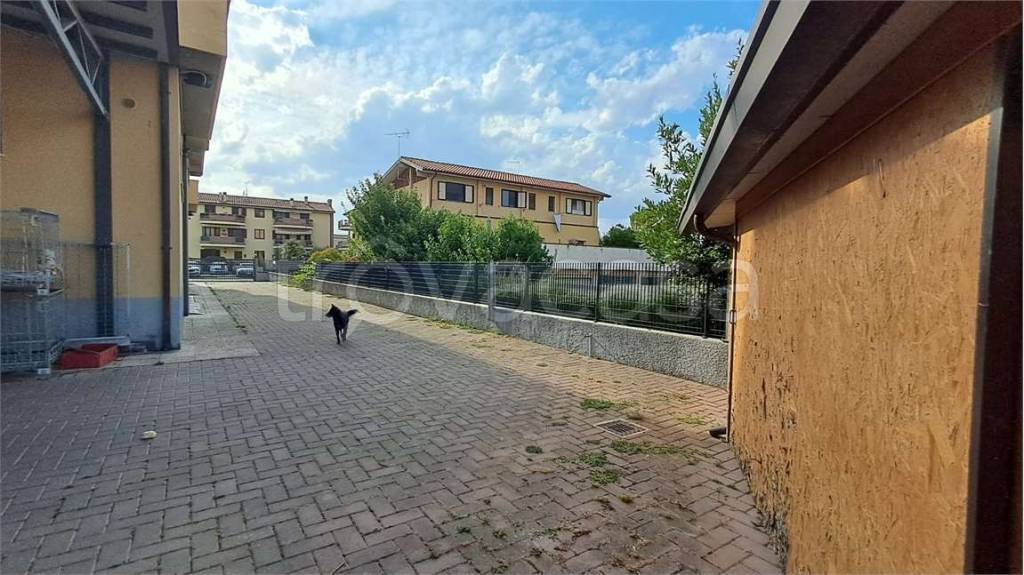 immagine annuncio 13 di 15