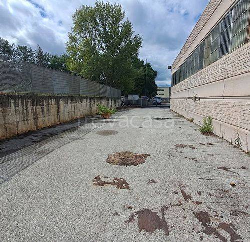 immagine annuncio 10 di 14