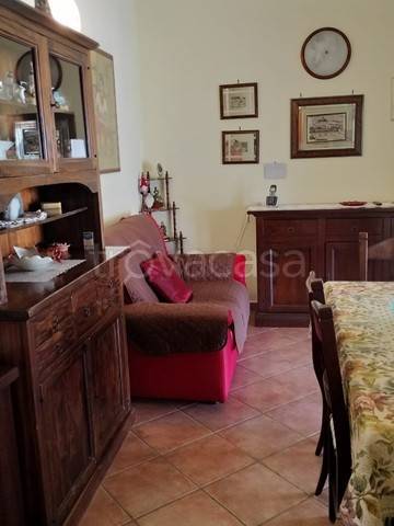 immagine annuncio 3 di 14