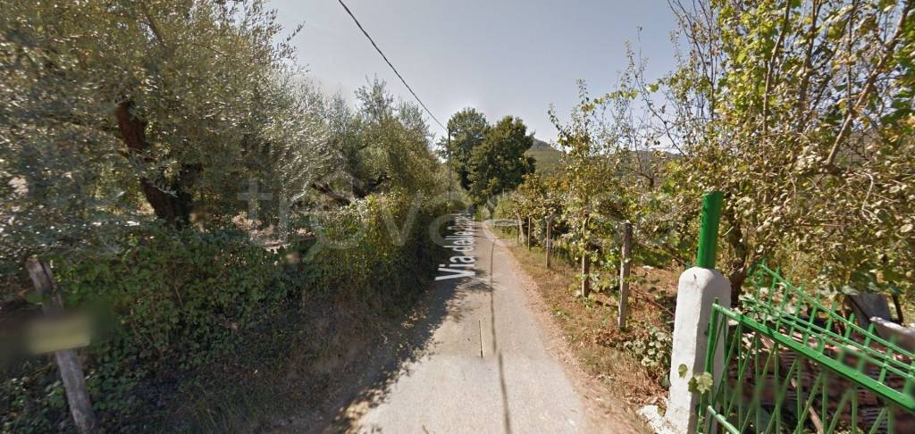 immagine annuncio 4 di 14