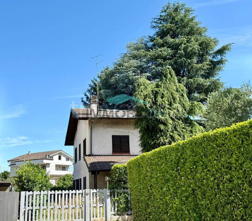 immagine annuncio 1 di 14