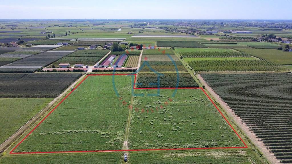 immagine annuncio 6 di 13