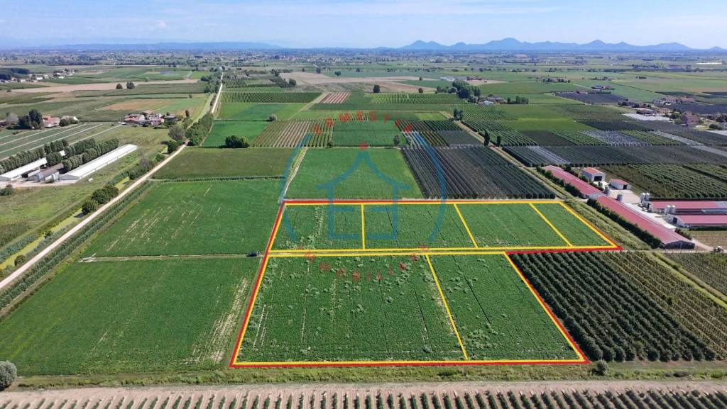 immagine annuncio 7 di 13