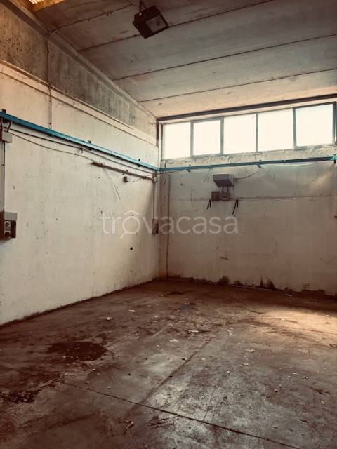 immagine annuncio 5 di 6