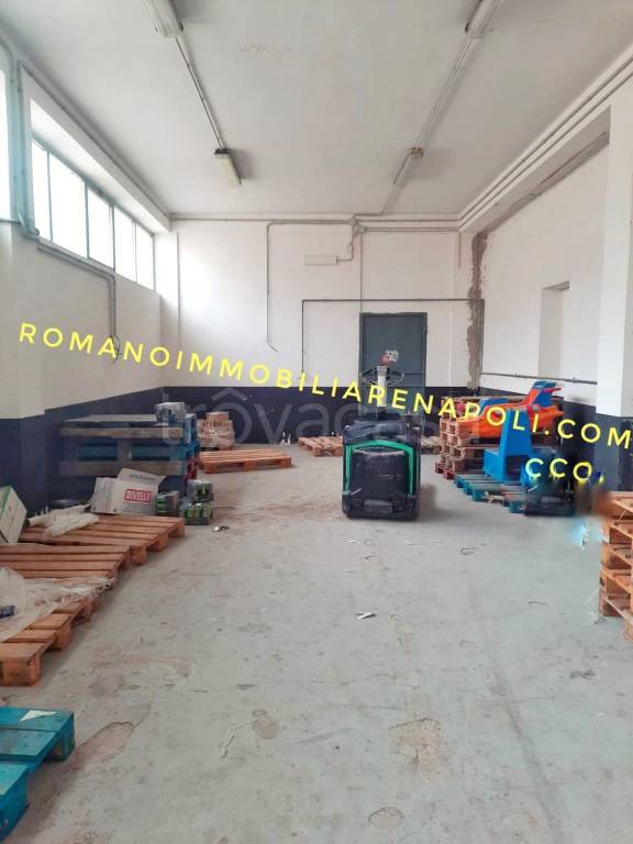 immagine annuncio 5 di 14