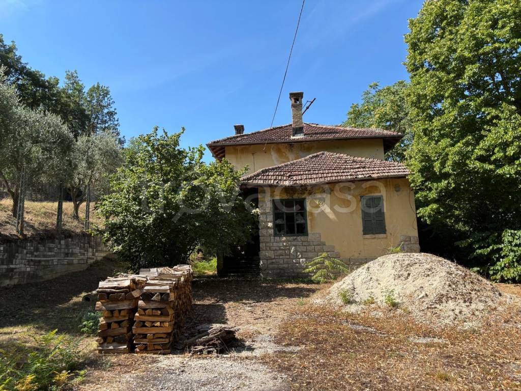 immagine annuncio 2 di 14