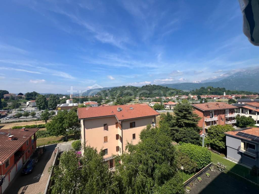 immagine annuncio 3 di 11