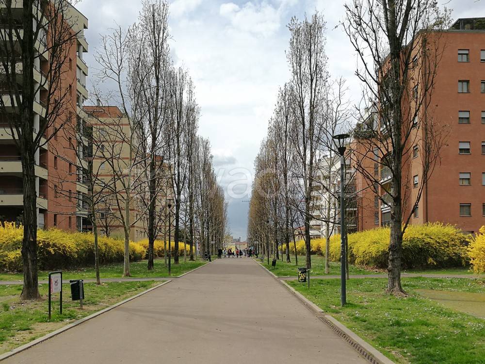 immagine annuncio 8 di 12