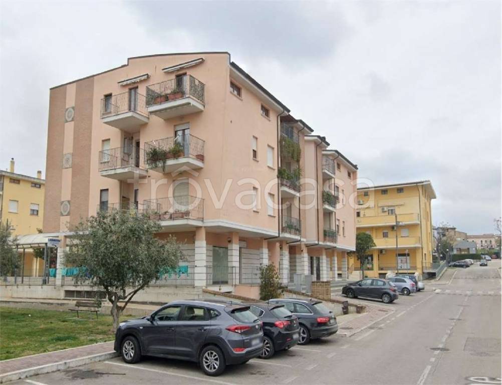 immagine annuncio 7 di 15